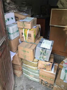 張金寶攜金財咨詢踐行社會責任，共筑鄉(xiāng)村教育未來——記“鄉(xiāng)村學校圖書室手拉手行動”